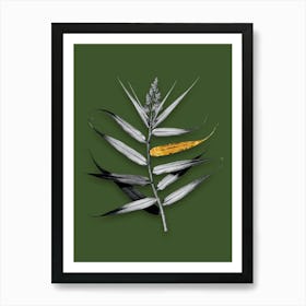 Vintage Bush Cane Black and White Gold Leaf Floral Art on Olive Green n.1130 Art Print