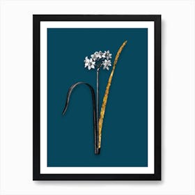 Vintage Cowslip Cupped Daffodil Black and White Gold Leaf Floral Art on Teal Blue n.0460 Art Print