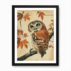 Northern Saw Whet Owl Vintage Illustration 2 Art Print