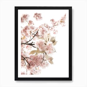 Spring Blossom II Art Print