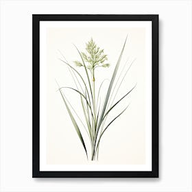 Lemongrass Vintage Botanical Herbs 2 Art Print