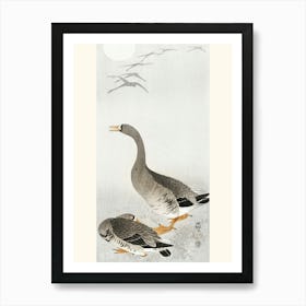 Two Geese (1900 1910), Ohara Koson Art Print