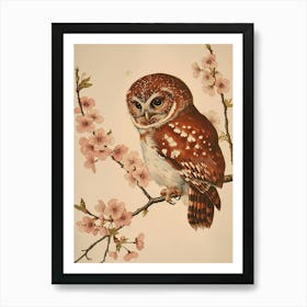 Northern Pygmy Owl Vintage Illustration 2 Art Print