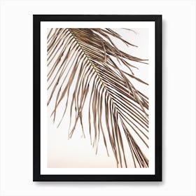 Palm Leaf Sunset Art Print