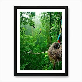 A Nest Cradled On A Rainforest Tree Branch Its Structure Intricately Woven By Passerines Shades Of (1) Art Print