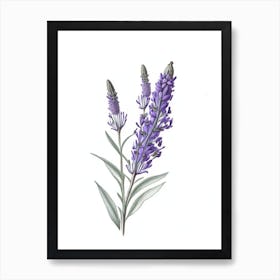 Lavender Leaf Illustration Art Print