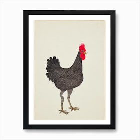 Chicken Illustration Bird Art Print