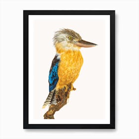 Birds VII Art Print