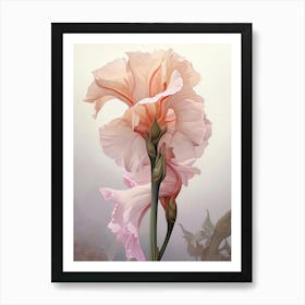Floral Illustration Gladiolus 1 Art Print