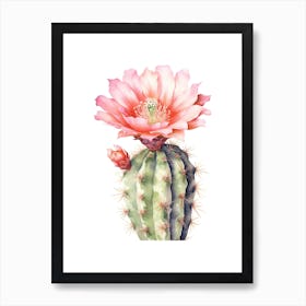 Echinocereus Cactus Watercolour Drawing 3 Art Print