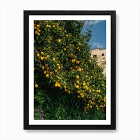 Amalfi Coast Lemons II Art Print