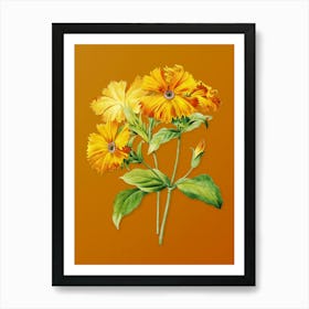 Vintage Lychnis Grandiflora Botanical on Sunset Orange n.0255 Art Print