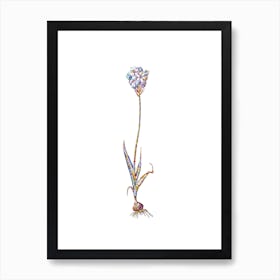 Stained Glass Chincherinchee Mosaic Botanical Illustration on White n.0224 Art Print