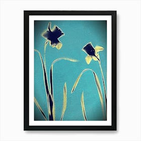 Daffodil cyanotype Art Print