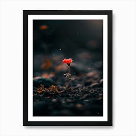 Flower In The Dark 21 Art Print