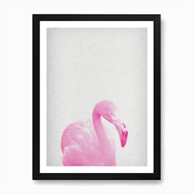 Froilein Flamingo III Art Print
