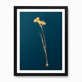 Vintage Vieusseuxia Glaucopis Botanical in Gold on Teal Blue n.0128 Art Print