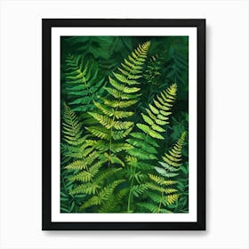 Ferns In The Forest Art Print