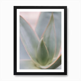 Soft botanical art print close up Art Print