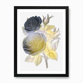 Black Roses 1 Art Print