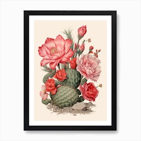 Vintage Cactus Illustration Acanthocalycium Cactus 2 Art Print