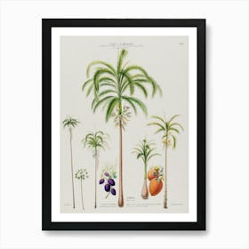 Palm Trees Art Print