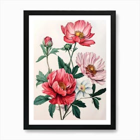 Peonies 8 Art Print