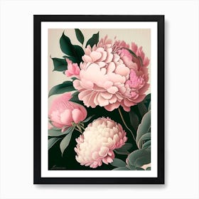 Festiva Maxima Peonies 1 Pink Vintage Sketch Art Print