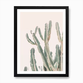 Sunset Cactus I Art Print