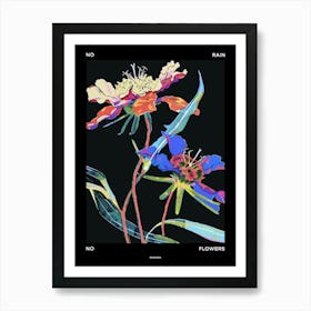 No Rain No Flowers Poster Scabiosa 2 Art Print