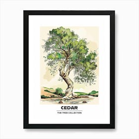 Cedar Tree Storybook Illustration 1 Poster Art Print