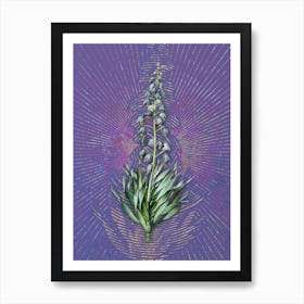 Vintage Persian Lily Botanical Illustration on Veri Peri Art Print