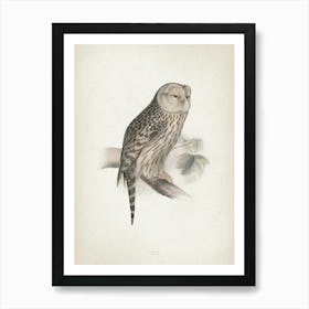 Vintage Lear 2 Ural Owl Art Print