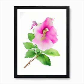 Swamp Rose Mallow Wildflower Watercolour Art Print