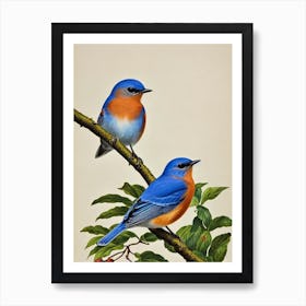 Eastern Bluebird James Audubon Vintage Style Bird Art Print