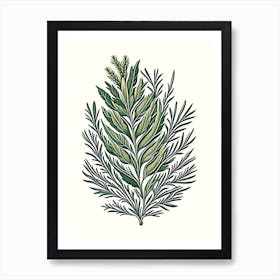 Rosemary Leaf Vintage Botanical 1 Art Print