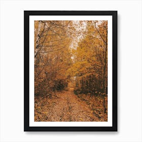 Warm Autumn Leaves Art Print