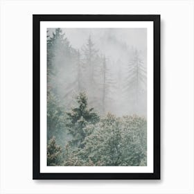 Forest Trees Art Print