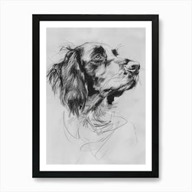 English Springer Spaniel Dog Charcoal Line 2 Art Print