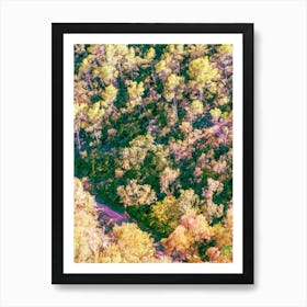 Aerial View Of A Forest 20230831287rt1pub Affiche