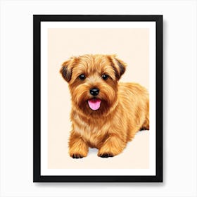 Norfolk Terrier Illustration Dog Art Print