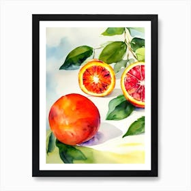 Blood Orange Italian Watercolour fruit Art Print