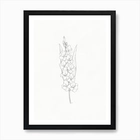 Lily Of The Valley Pencil Sketch Art Print