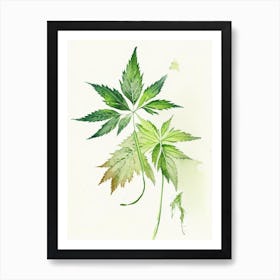 Stinging Nettle Herb Minimalist Watercolour Art Print