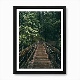 Forest Bridge Art Print