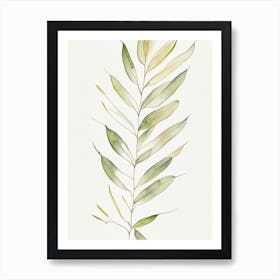 Willow Leaf Minimalist Watercolour 6 Art Print