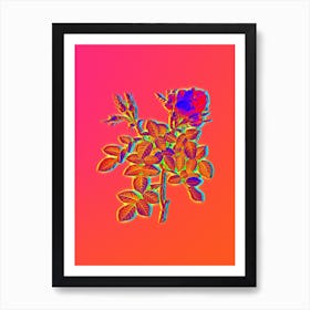 Neon Dwarf Damask Rose Botanical in Hot Pink and Electric Blue n.0041 Art Print