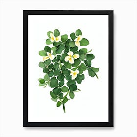 Shamrock Plant (Oxalis Species) Watercolor Art Print