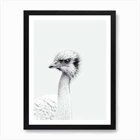 Emu B&W Pencil Drawing 2 Bird Art Print