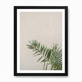 Botanical Cactus On The Wall Art Print